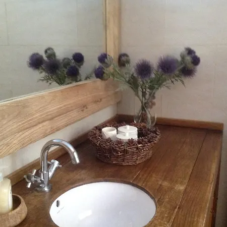 Petit Ours * Villars-sur-Ollon