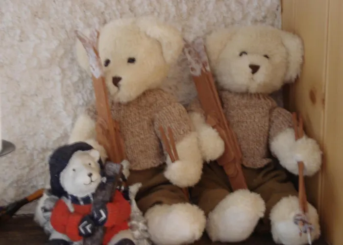 Petit Ours 威拉尔-苏-罗伦