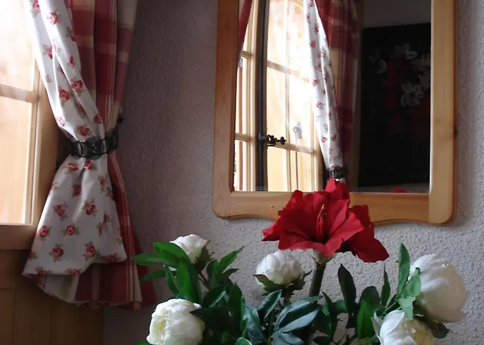 Petit Ours Villars-sur-Ollon