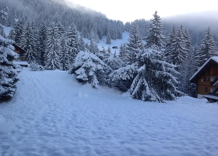 Petit Ours Διαμέρισμα *