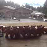 Petit Ours Daire Villars-sur-Ollon
