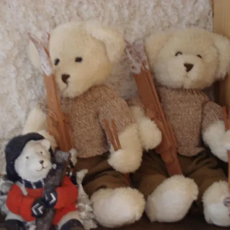 Petit Ours Villars-sur-Ollon