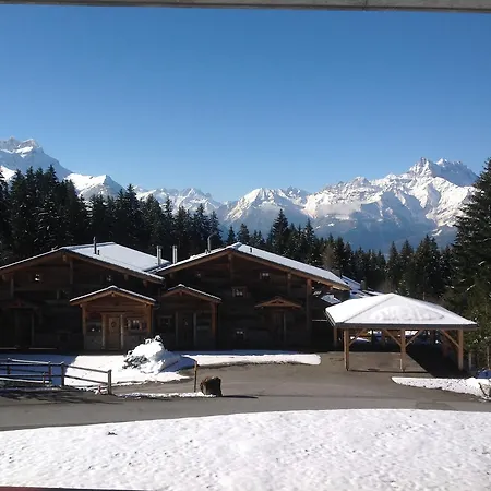 Petit Ours Apartament *
