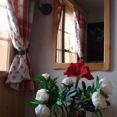 Petit Ours 빌라쉬르올롱