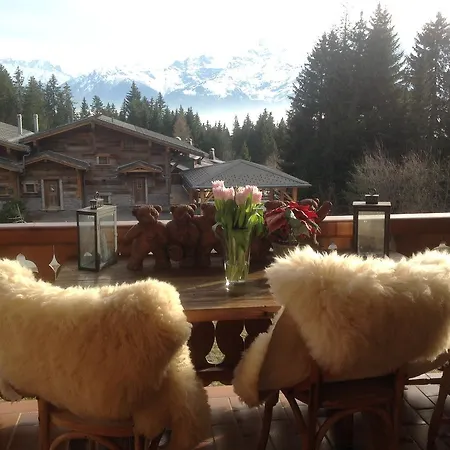 아파트 Petit Ours *