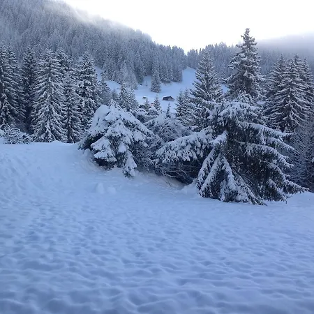 Petit Ours 아파트 *